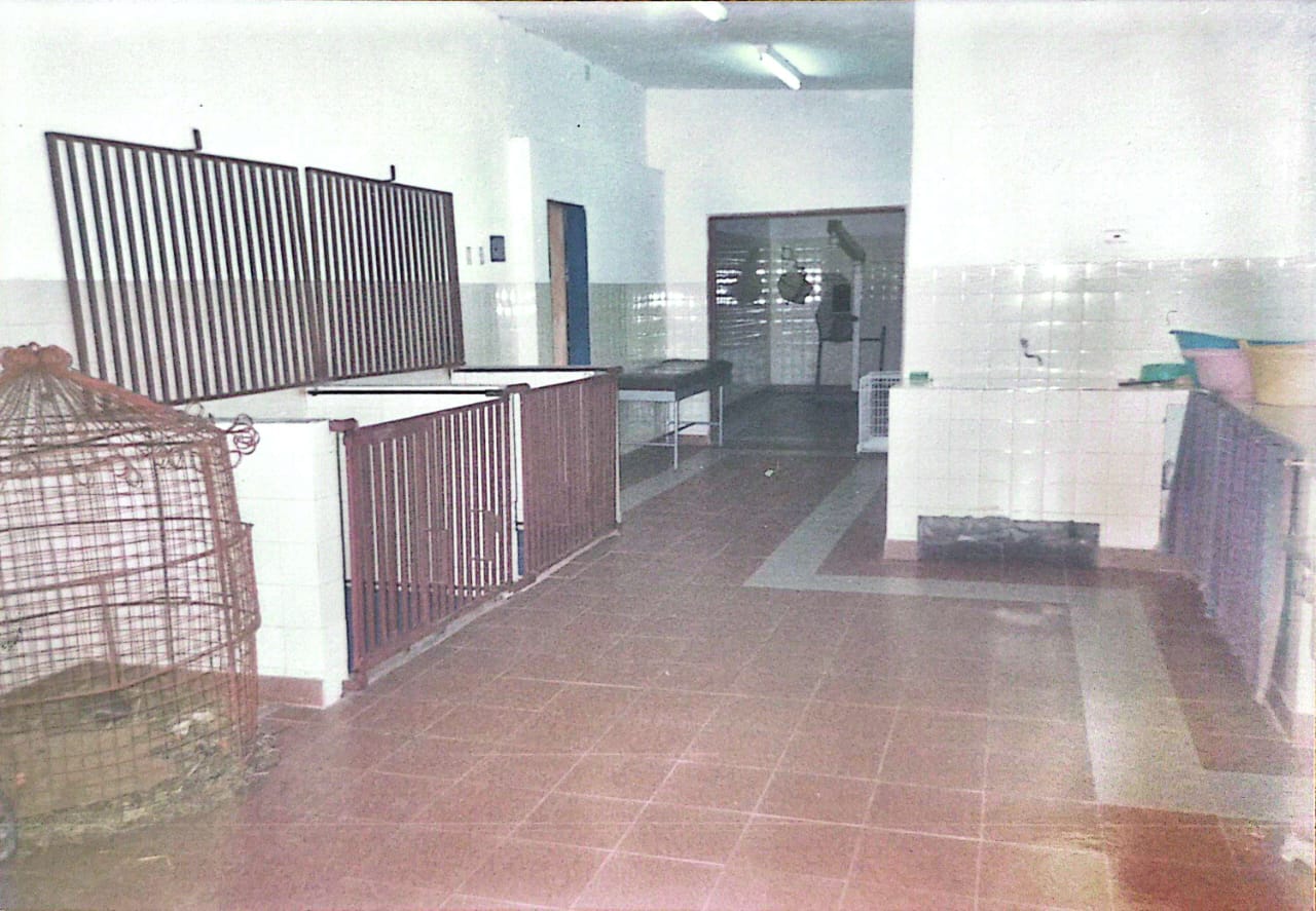 Hospital para animales construido por la ONG en el ex zoológico