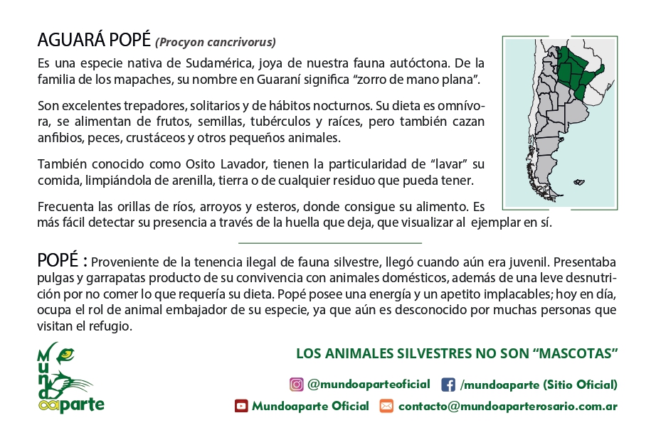 Aguará Pope - Imagen trasera