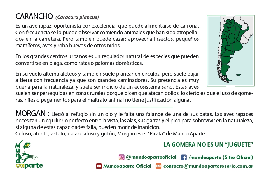 Carancho - Imagen trasera